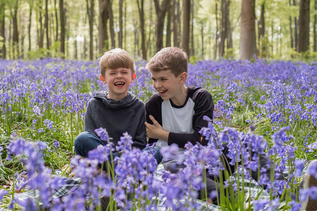 two boys say in a carpet of bluebells giggling 
