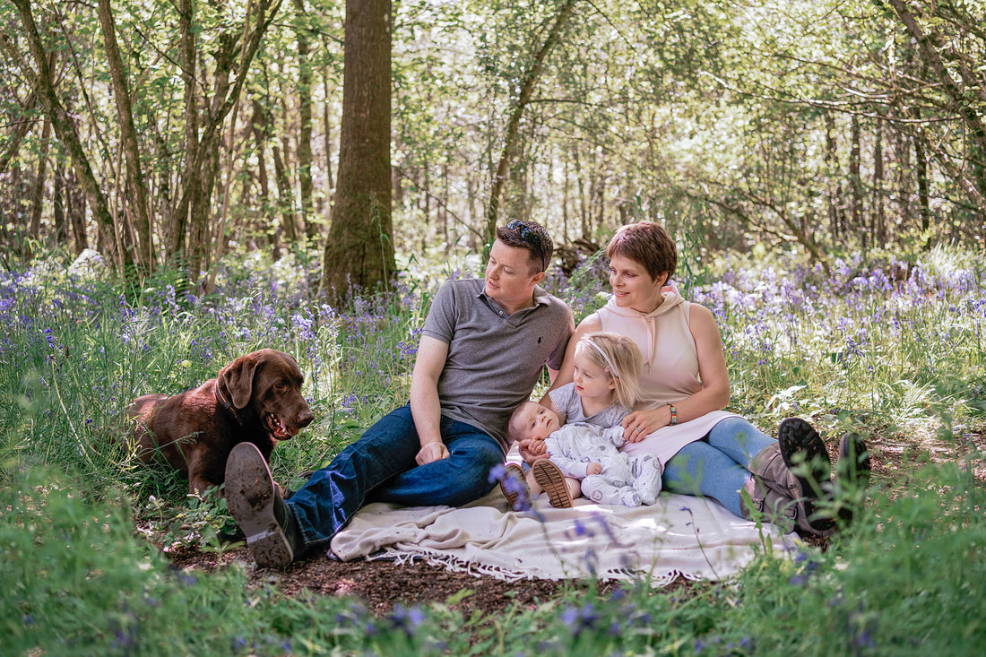young family of four sat on a blanket in bluebell woodland looking at their brown dog