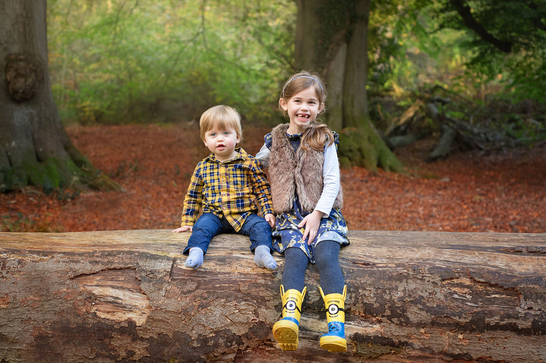 young girl and toddler boy sat on a fallen down tree in the forest 