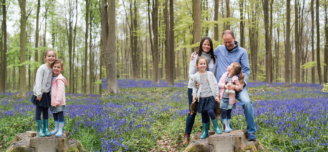 family of four surrounded by bluebells 
